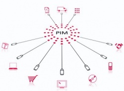 PIM Overview