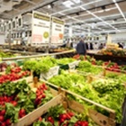 Thumbnail-Foto: Leclerc Hypermarkt, Cernay: Durchdachte Lichtinszenierung im Hypermarkt...