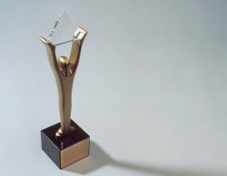 Stevie® Award in Silber: QVC wurde in der Kategorie Customer Service...