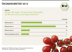 Infografik zum Ökobarometer 2013.