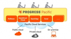 Einzelhandelskonzern realisiert Cross-Channel-Strategie mit Progress Pacific...