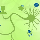 Thumbnail-Foto: Neuromarketing: Welche Erkenntnisse nützen Online-Shops?...