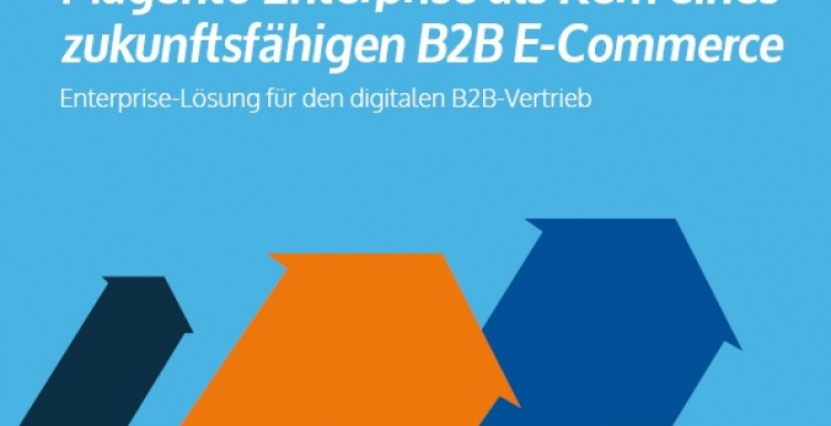 Foto: Neun Herausforderungen für B2B E-Commerce Plattformen...