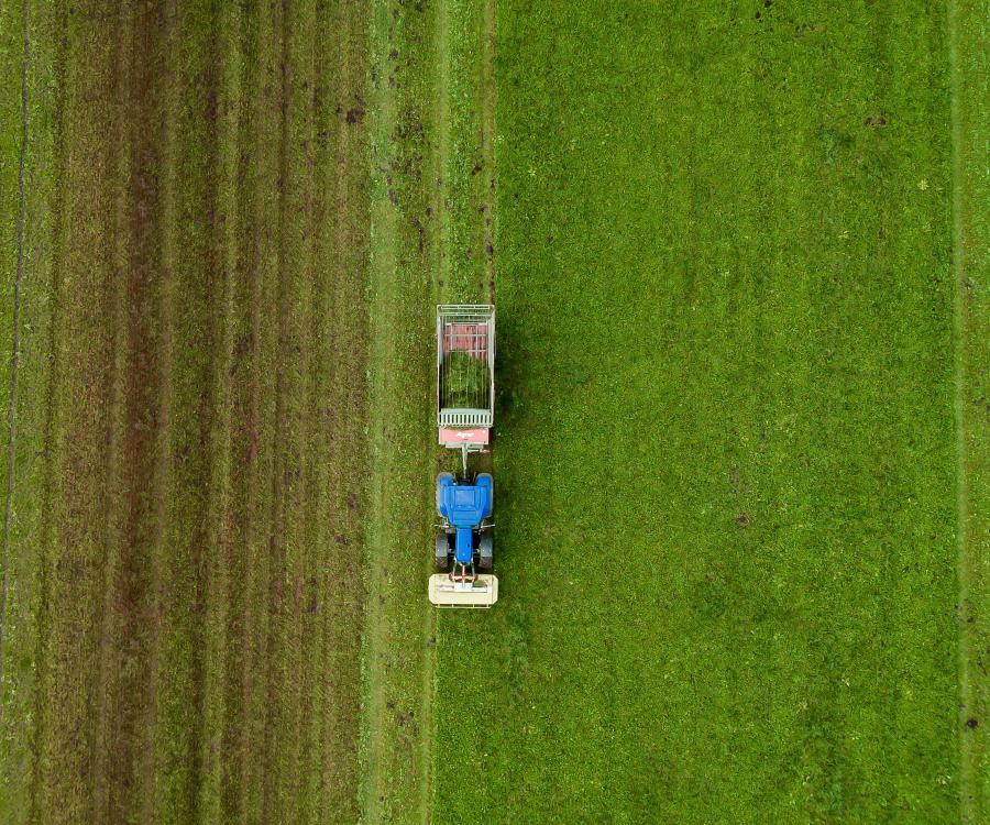 Foto: Zertifikat veranschaulicht die Umwelteinsparungen...