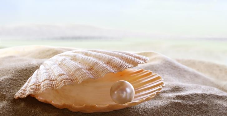 Eine Perle in einer Muschel am Strand; Copyright: panthermedia.net/silvae...