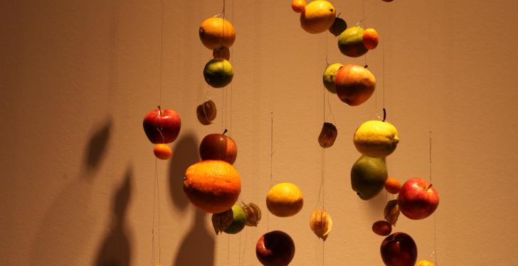 Äpfel und anderse Obst hängen an Fäden vor einer Wand; copyright:...