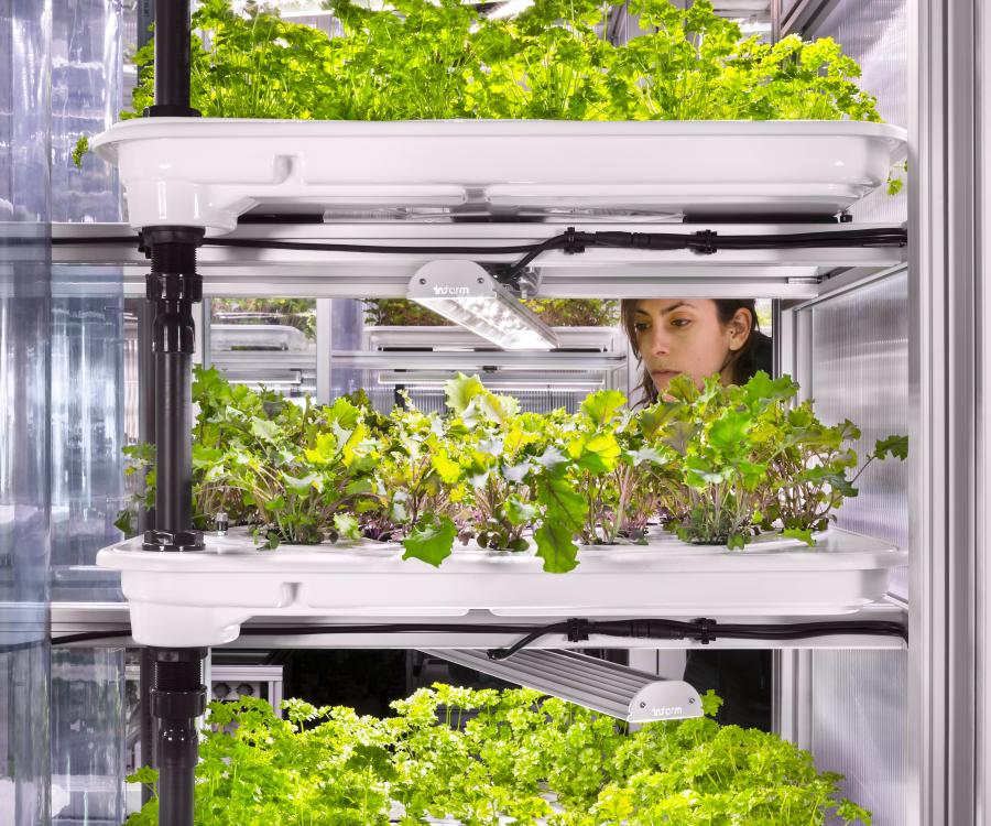 Foto: Instore Farming: Wenn die Petersilie im Supermarkt wächst...