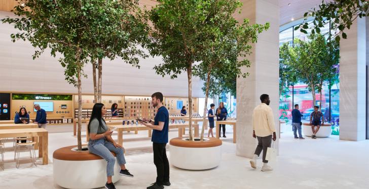 Kleine Bäume stehen im Innenraum des neuen Apple Store in London...