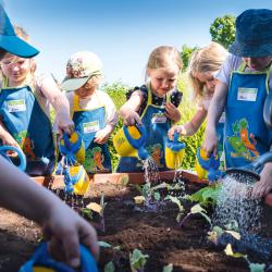 Thumbnail-Foto: 15 Jahre „Gemüsebeete für Kids“: Ernährungsbildung als...