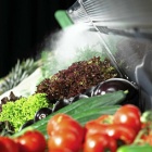 Thumbnail-Foto: Obst und Gemüse: Kühlung reduziert Abschriften...