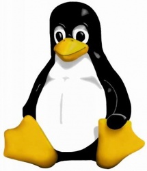 Die aktuelle Linux-Firmware von IGEL: Smartcard Security und mehr Komfort bei...
