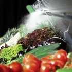 Thumbnail-Foto: Kühlregale: Mehrwert für Obst & Gemüse