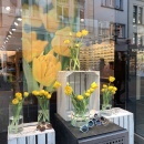 Schaufenster mit gelben Blumen und einem Bild mit einer gelben Blume dekoriert....