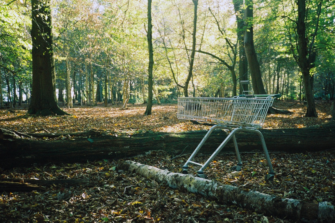 Ein Einkaufswagen steht in einem Wald