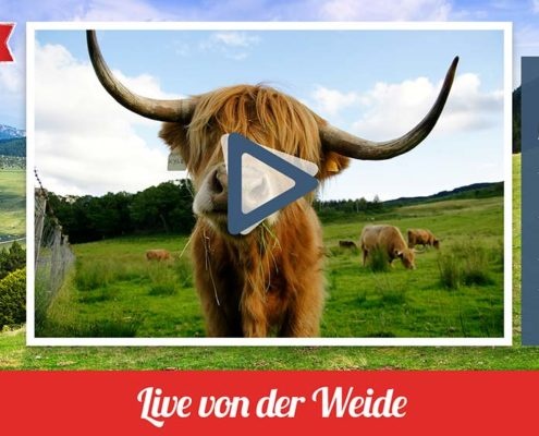 Live von der Weide; Copyright: online software ag