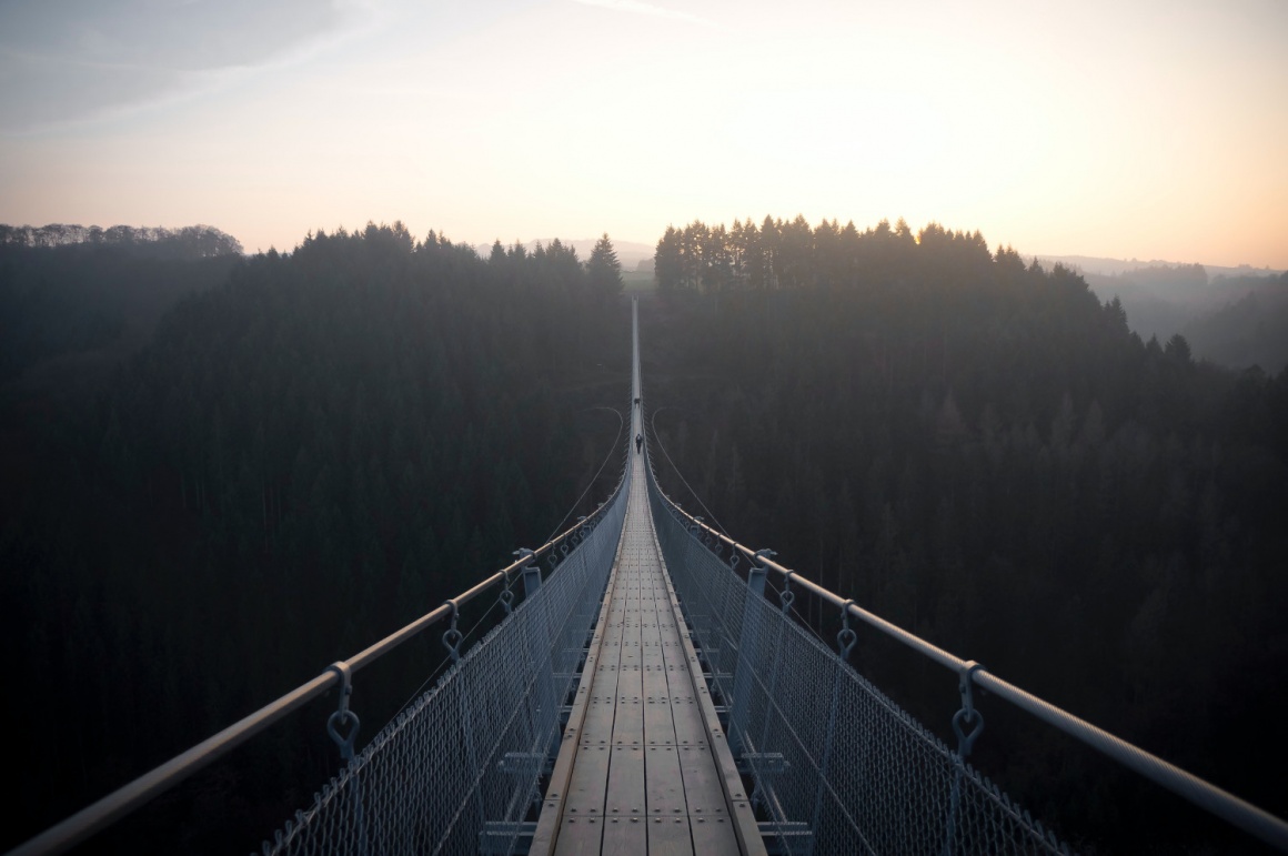 Eine sehr lange Hängebrücke, die über ein Tal in einen Wald führt....